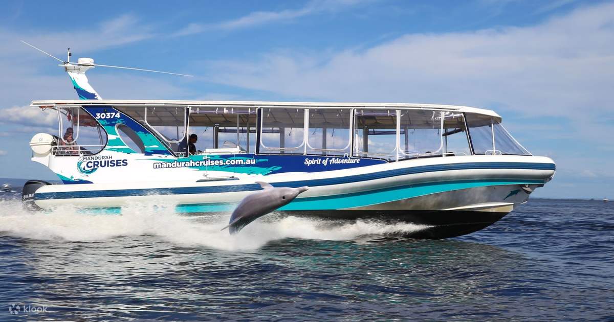 mandurah dolphin cruise discount